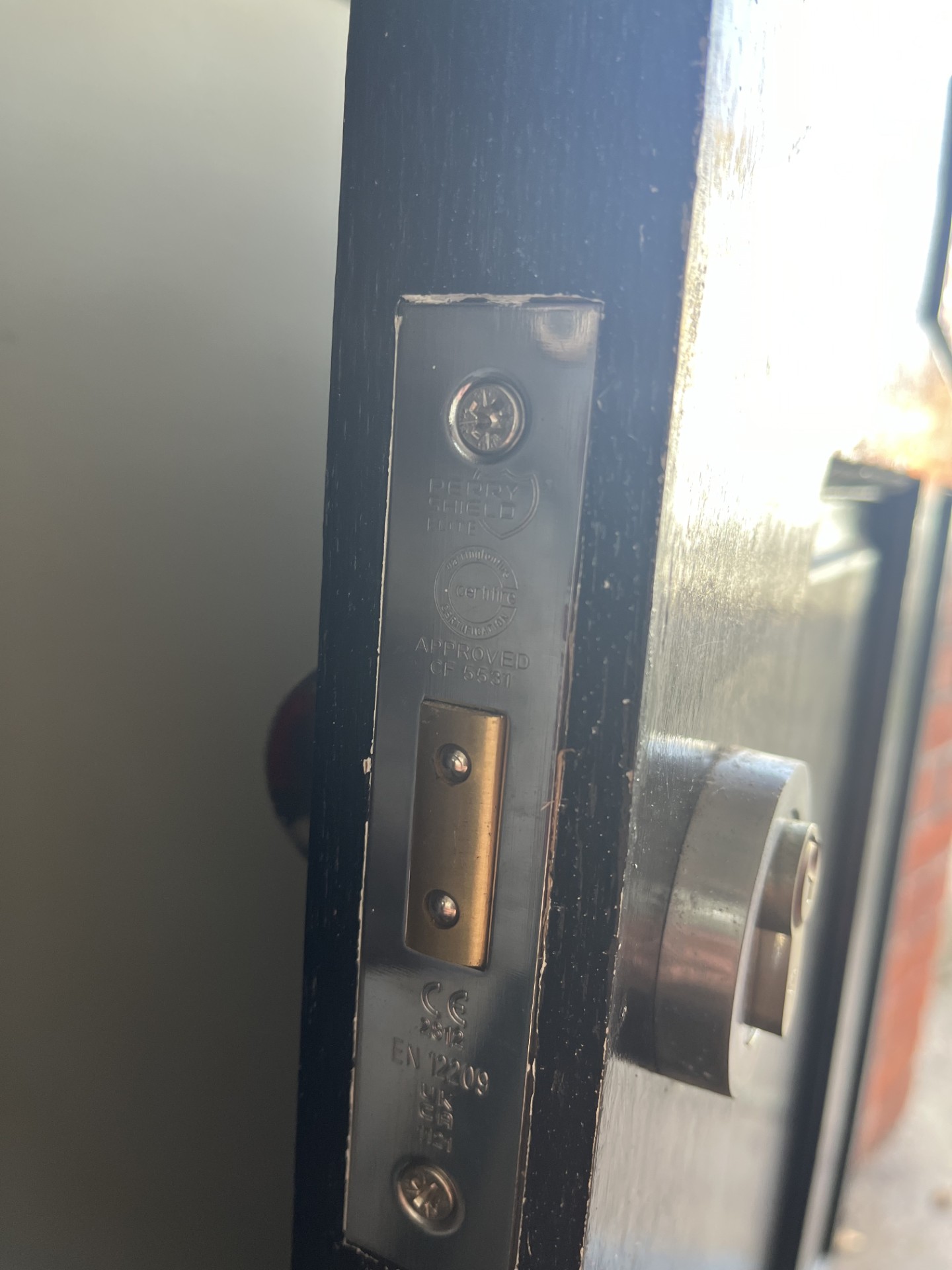 Image of nickel euro deadlock on wooden front door