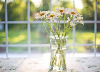 Image of a vase of flowers next to a replacement window